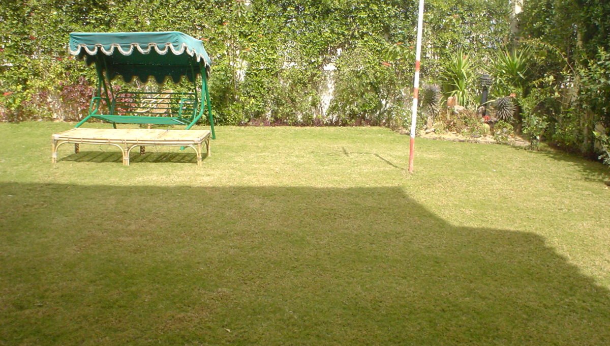 DSC02061