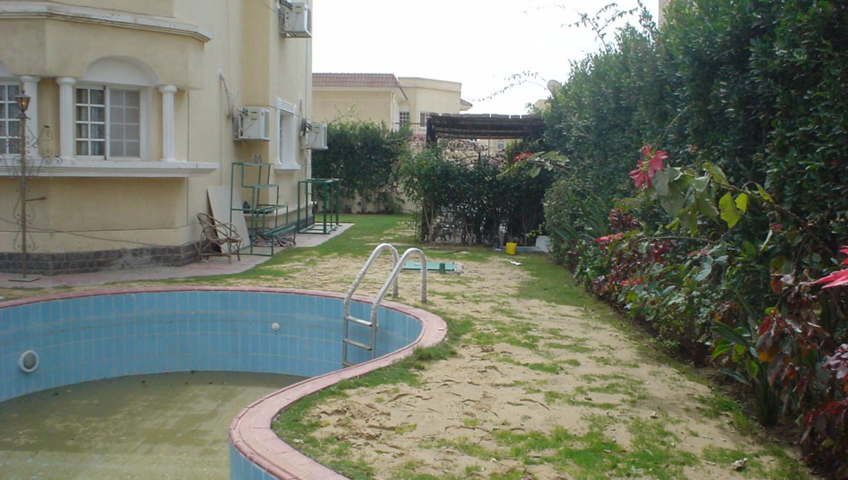 DSC02065