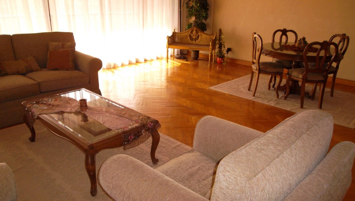 Modern apartment for rent fully furnished in Dokki